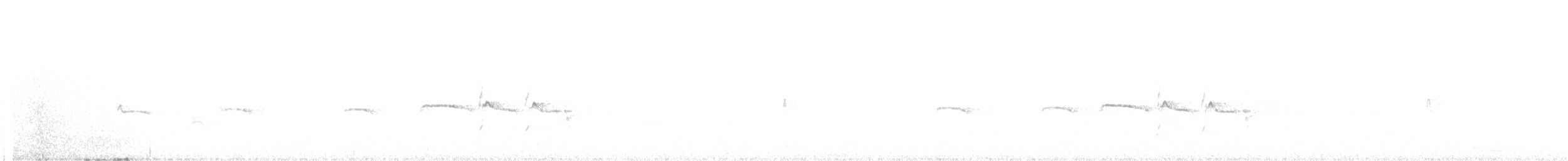 nordglattyrannulett - ML443492111