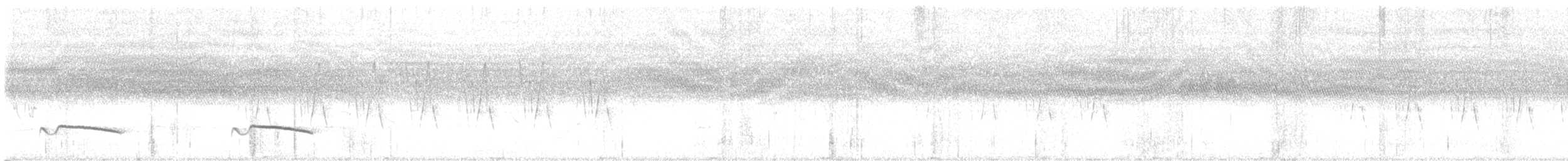 Gray-bellied Cuckoo - ML443515721