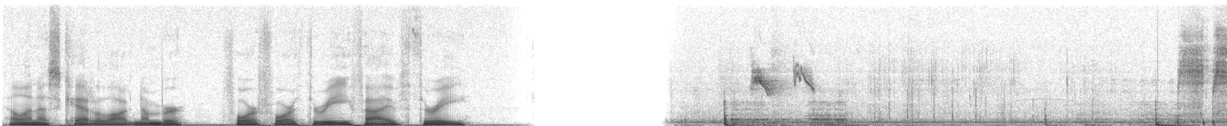 Painted Redstart - ML44353