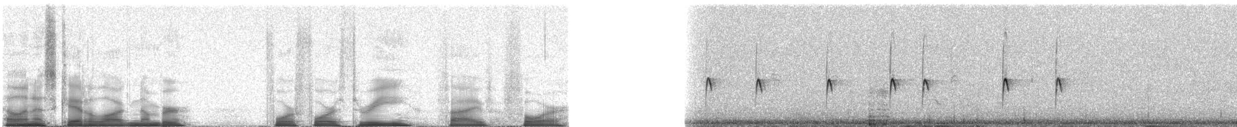 Pygmy Nuthatch - ML44354