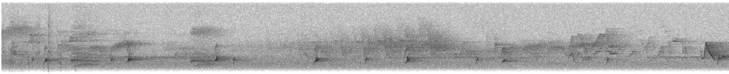 Дрізд-короткодзьоб Cвенсона - ML443551391
