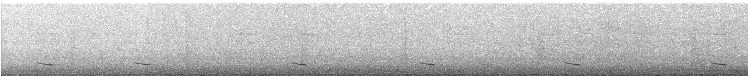 Трупіал плямистоволий - ML443563531