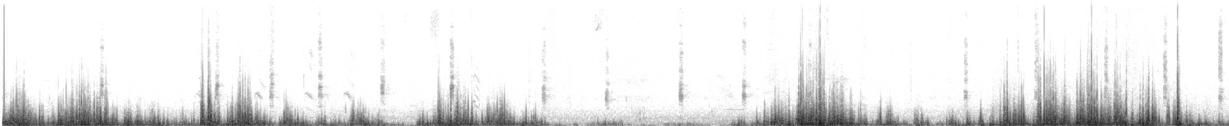 Râle élégant ou R. tapageur - ML443573631