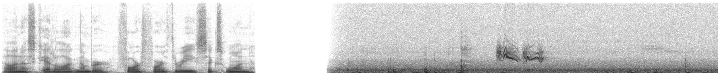 Eastern Bluebird (Mexican) - ML44361