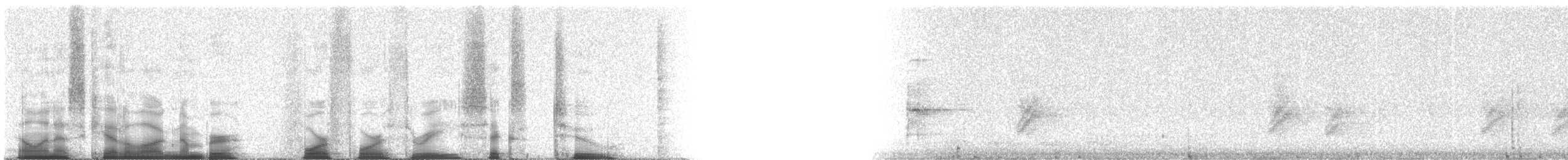 Arizona Woodpecker - ML44362