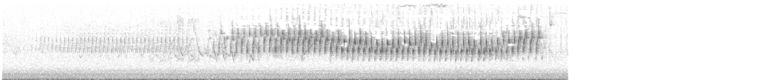 Chipping Sparrow - ML443684251