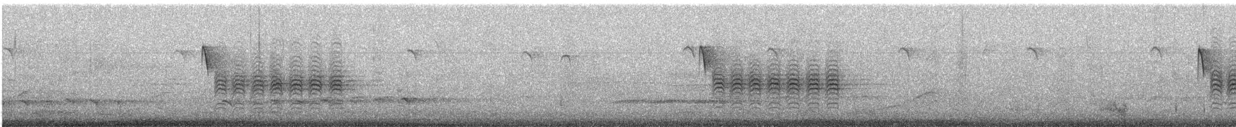 Carolinameise - ML443795971