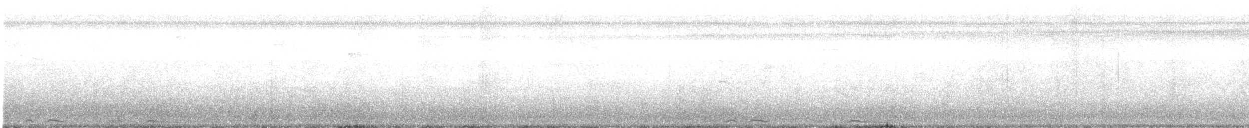 Белокрылая горлица - ML443809961