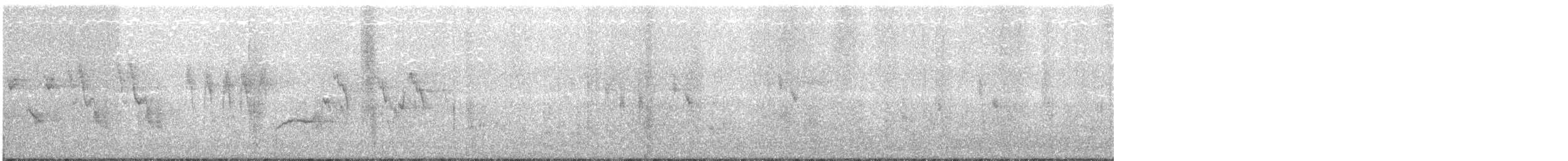 Lavandera Blanca (leucopsis) - ML44387891
