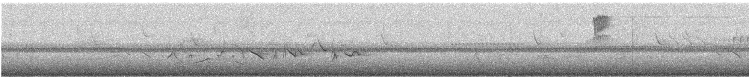 Kestane Karınlı Koca Tohumcul - ML44392371