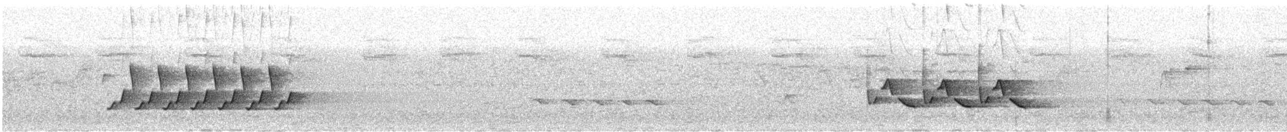 Troglodyte de Caroline - ML443937871