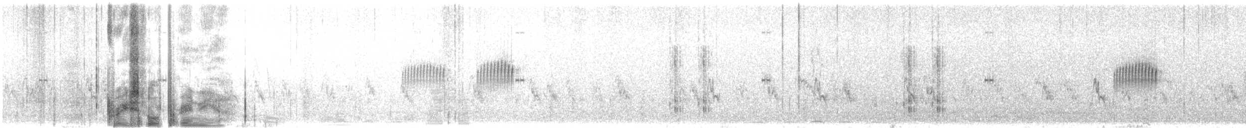 Graceful Prinia - ML443971161