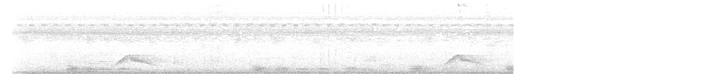 Pauraquenachtschwalbe - ML444011601