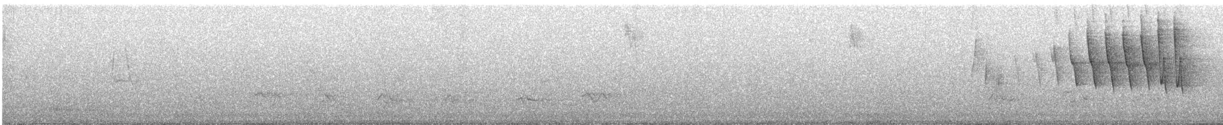 Малая вильсония - ML444038321