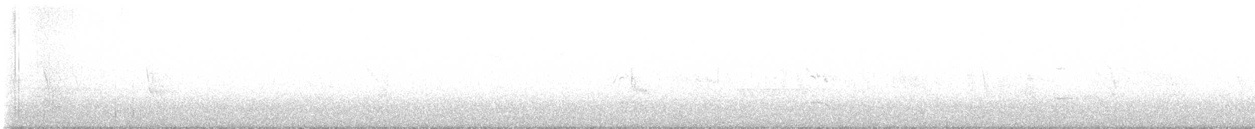 Hirondelle à face blanche - ML444059611