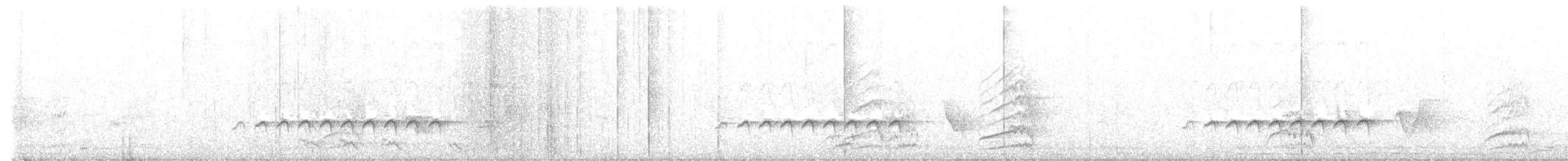 Flat-billed Vireo - ML444128041