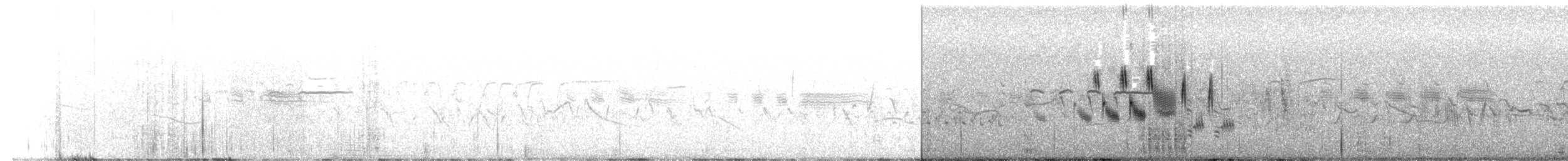 strnad šedý (ssp. cineracea) - ML444206501