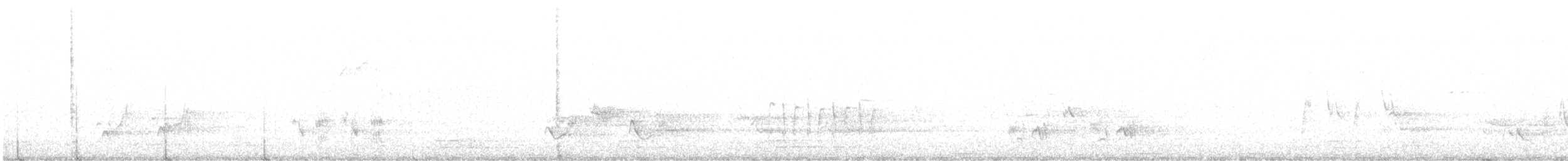 Moqueur roux - ML444260071