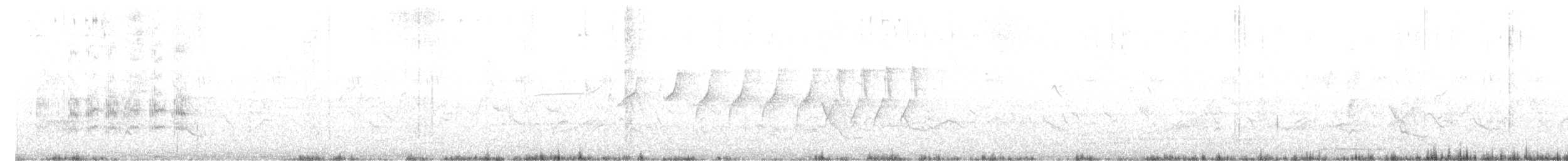 drongo černý - ML444310121