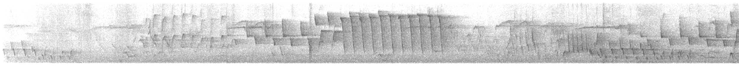 Tennessee Warbler - ML444352001
