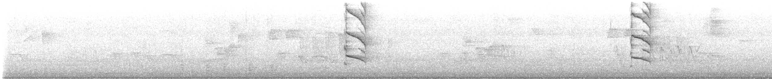 パナマヒタキモドキ - ML444385831