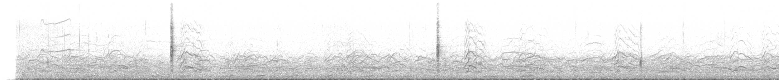 שחרורית אדומת-כנף - ML444403881