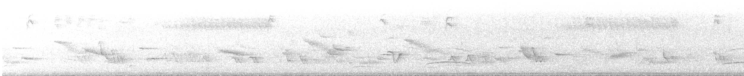 Dusky-capped Flycatcher (lawrenceii Group) - ML444410961