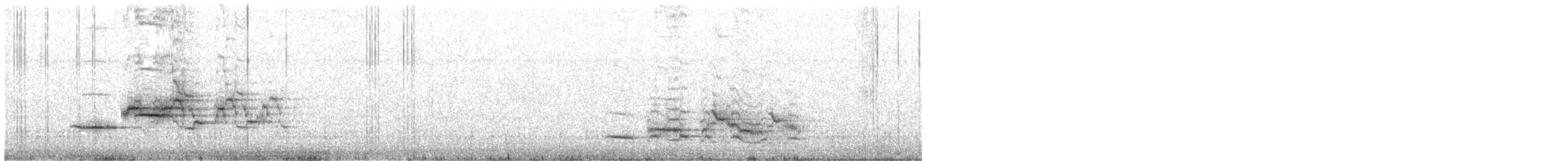 Дрізд-короткодзьоб плямистоволий - ML444424531