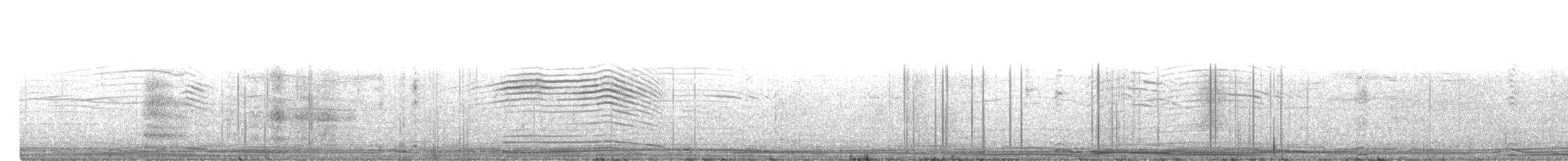 Wedge-tailed Shearwater - ML444476061