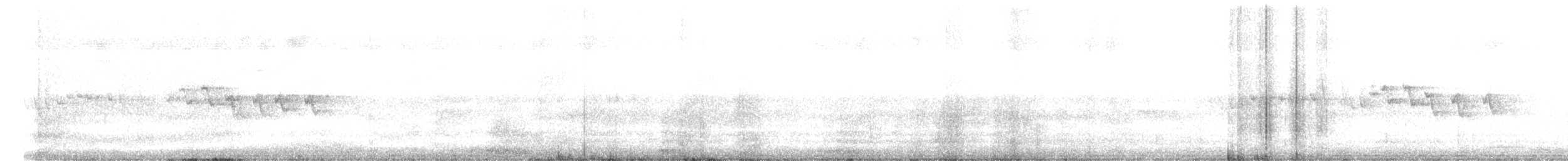oransjekroneparula (sordida) - ML444498501