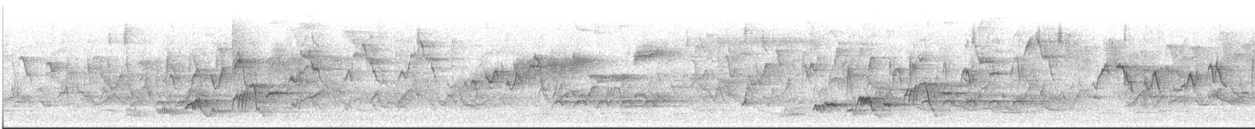 Swainson's Thrush - ML444607661