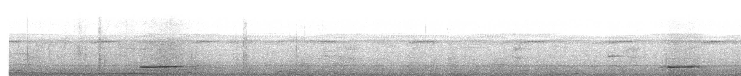 Thicket Tinamou - ML44463101