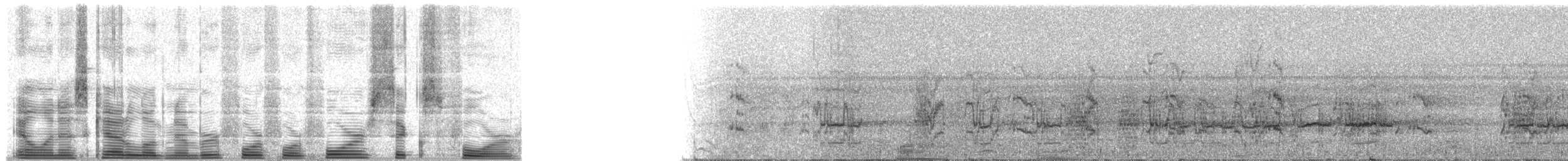 Schwarzstirnpapagei - ML44464