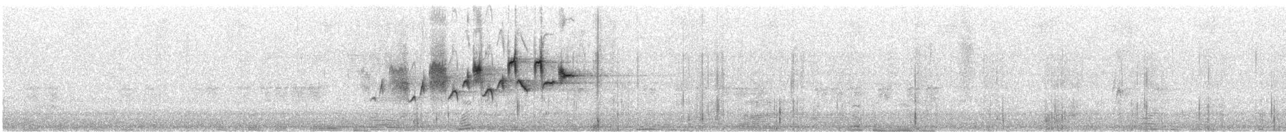 Black-throated Gray Warbler - ML444696401