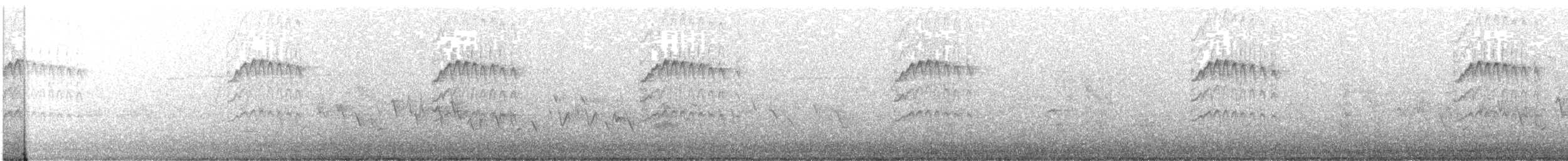 Zostérops de Swinhoe - ML444719821