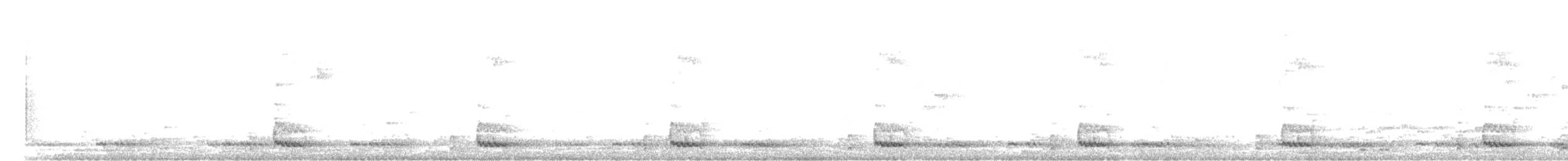 White-cheeked Barbet - ML444732881