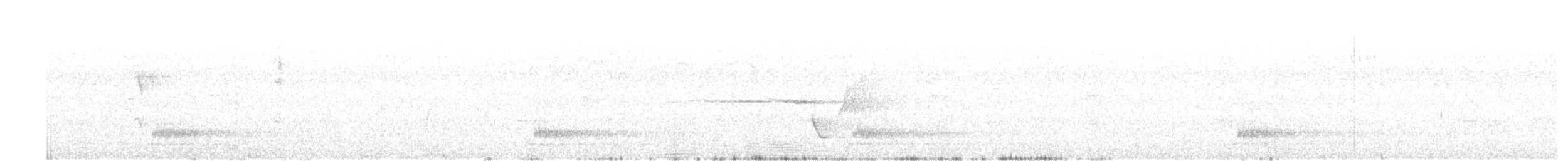 lyrochvost nádherný - ML44476231