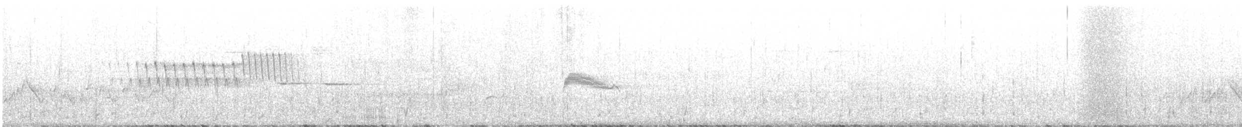 Orange-crowned Warbler - ML444793741