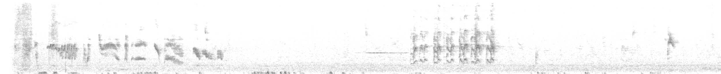 ハジロマネシツグミ - ML444814891