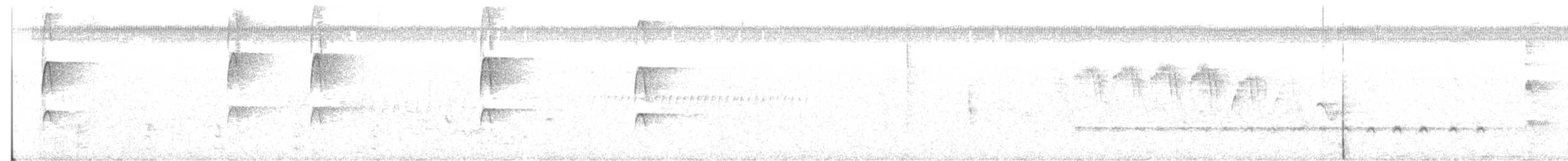 ホオジロシマアカゲラ - ML444888281