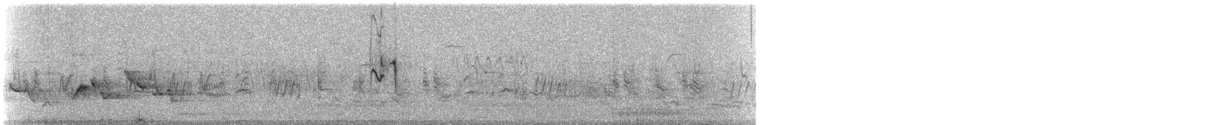 konipas luční (ssp. flava/beema) - ML444915751