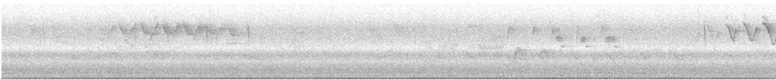 Black-and-white Warbler - ML444939021