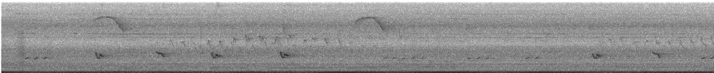 Baltimore Oriole - ML444939241