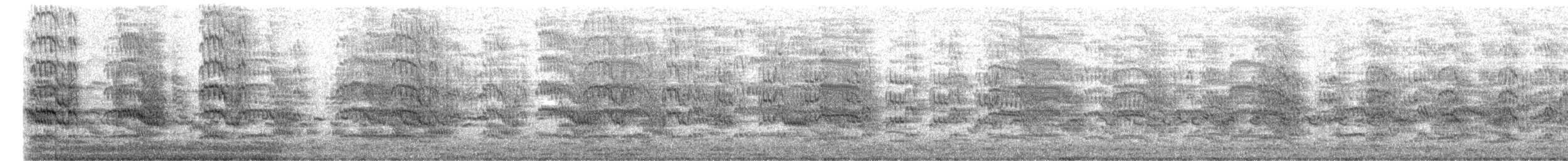 שחפית ים (מזרחית) - ML445121491
