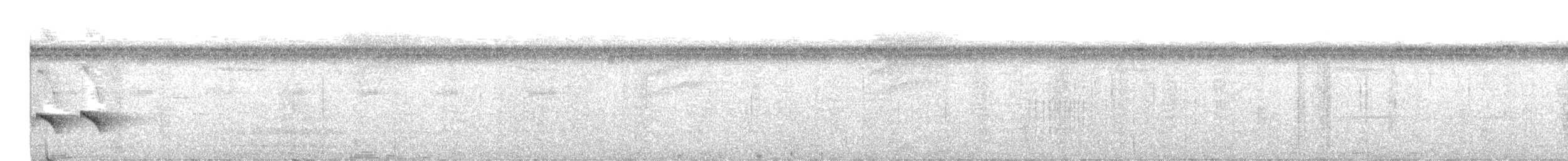 Kurzschwanz-Ameisenvogel - ML445180791