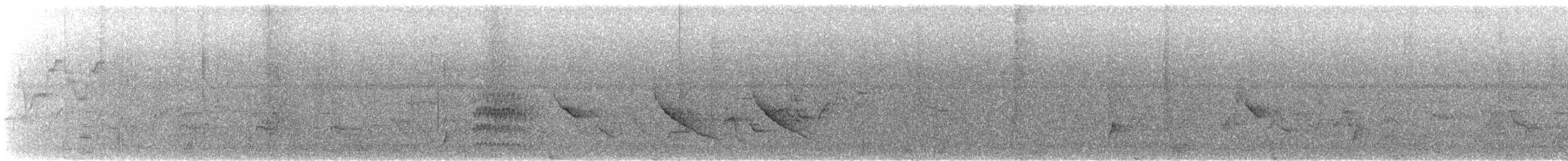 brunkinnskogtrost (swainsoni gr.) - ML445220631