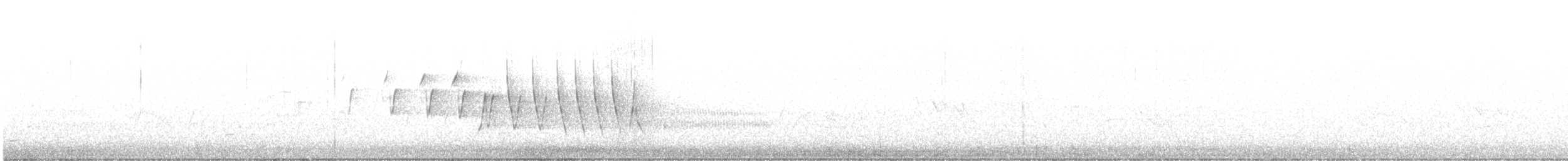 Смугастоволець річковий - ML445221241