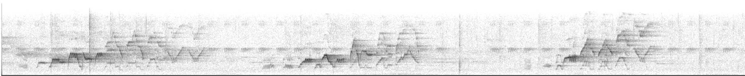 Swainson's Thrush - ML445282611