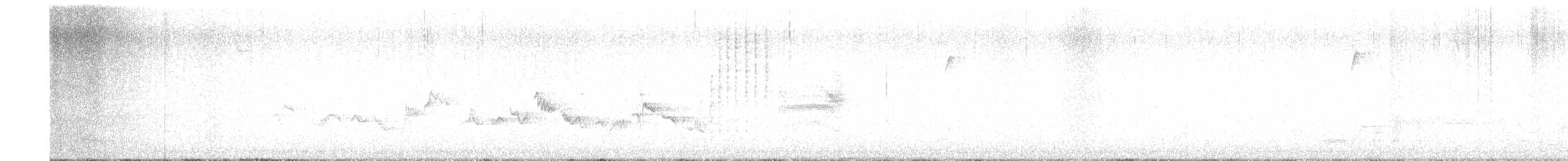 Warbling Vireo (Eastern) - ML445317471