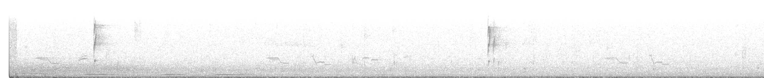 Черноголовый толстонос - ML445328641